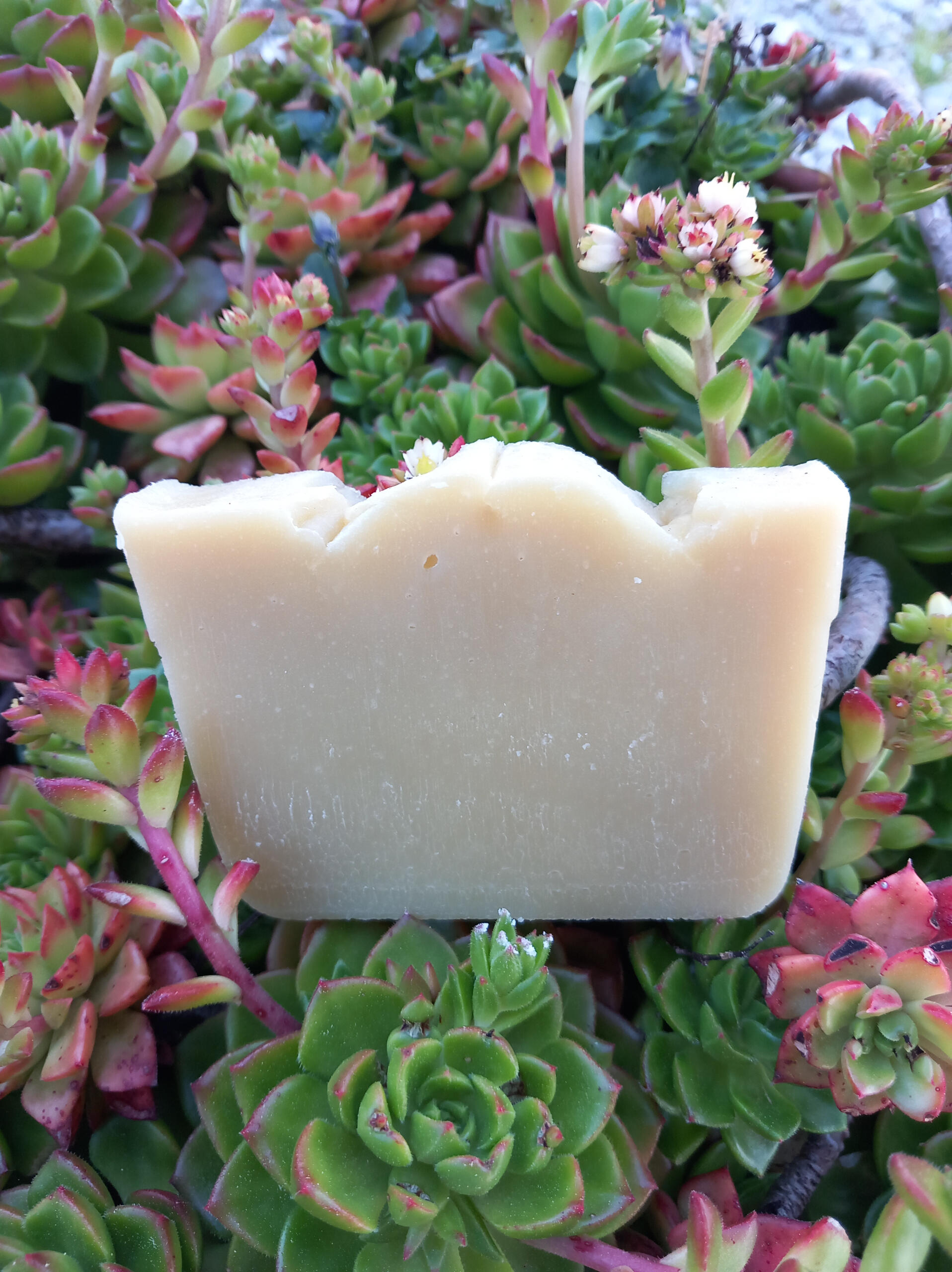 Virgin Olive Oil Soap Bar app 65gr €3.50 (V)