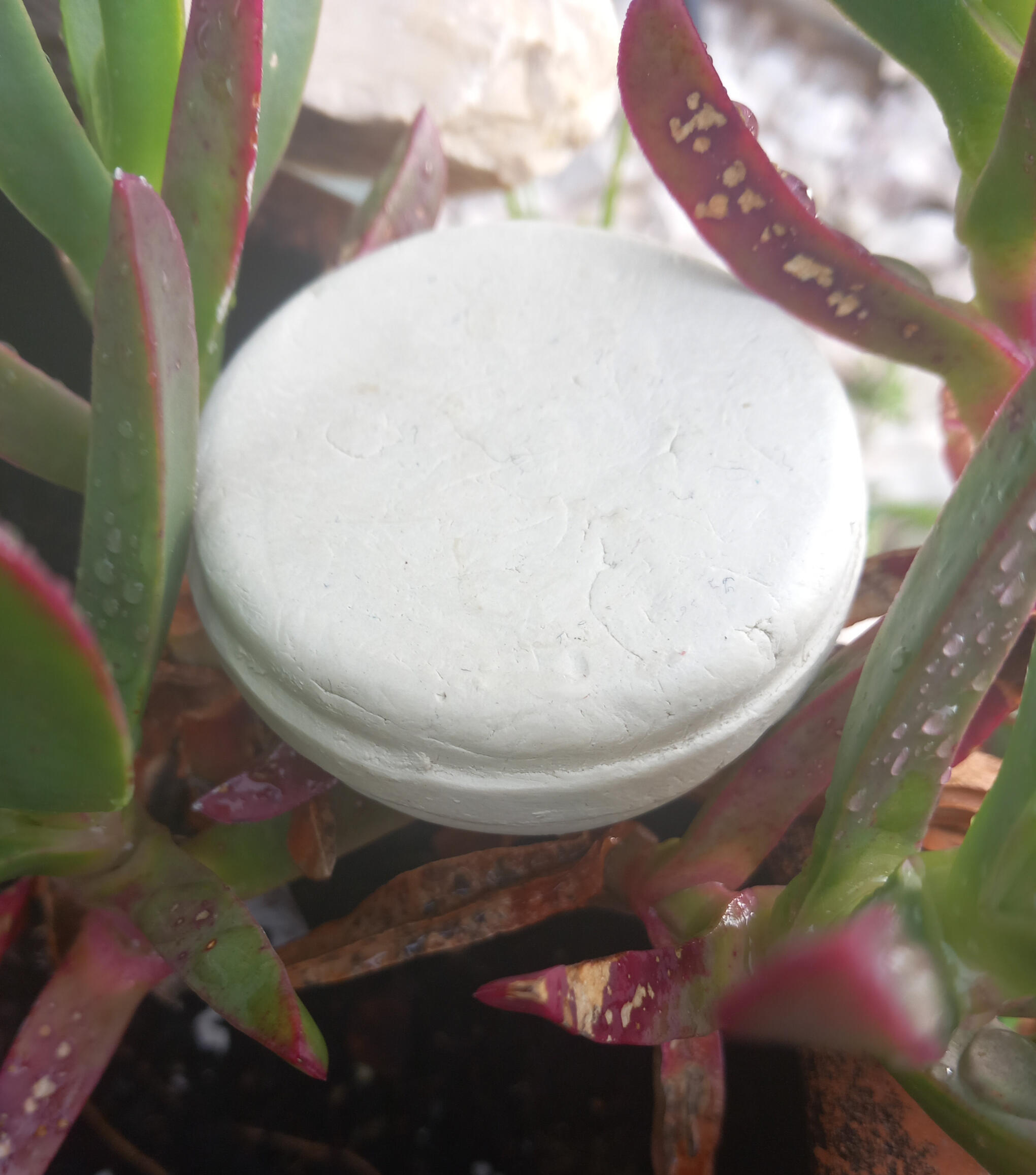 *Kaolin Clay Mask Bar 100 gr (V)€10.95 (V) *Kaolin Clay Mask Bar 100 gr (V)