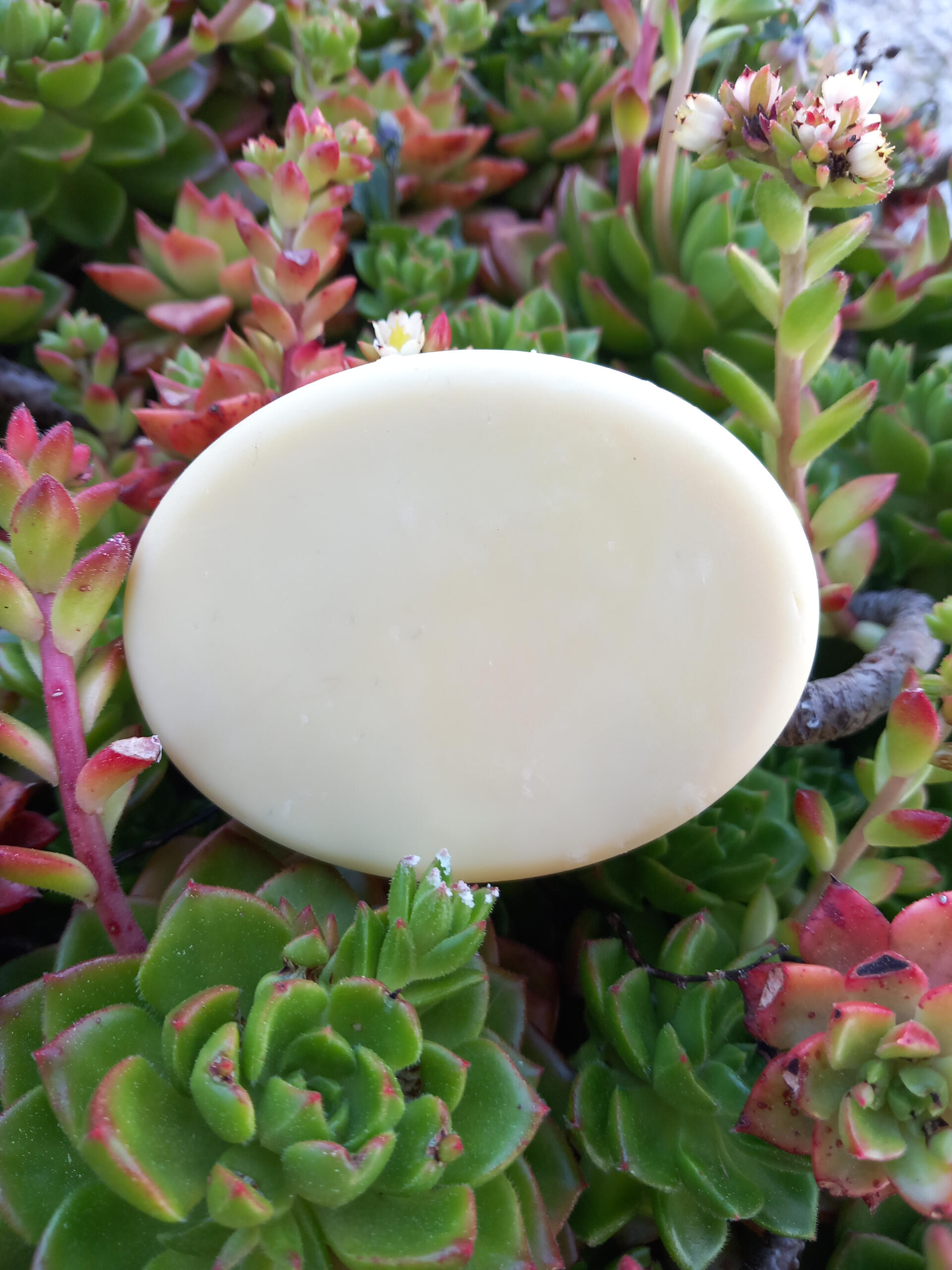 Olive with lavender soap bar. app 65gr. €3.50 (V)